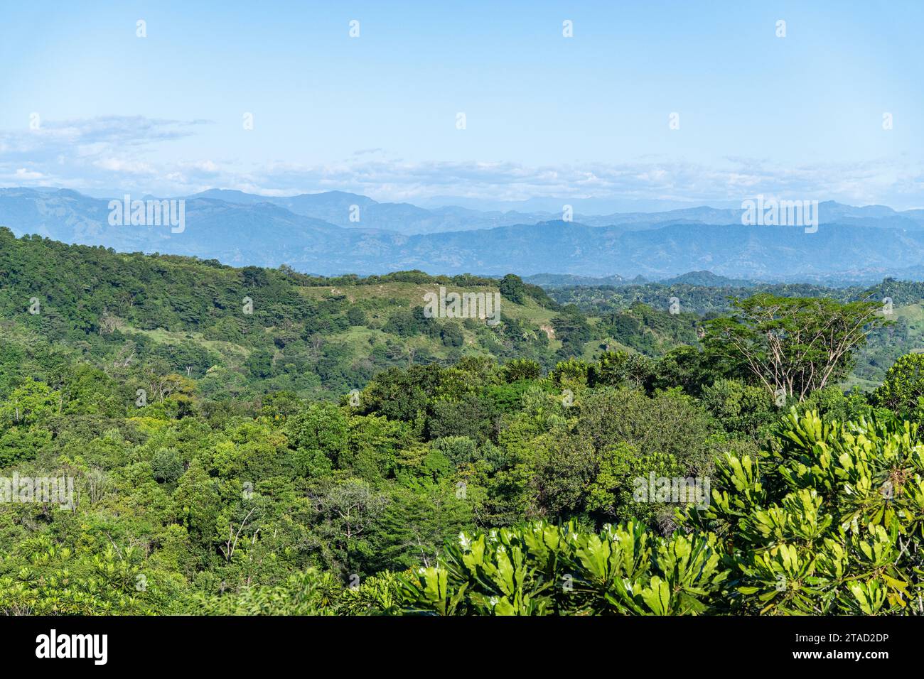 A view of the Colombian countryside forests, jungles and mountains Stock Photo