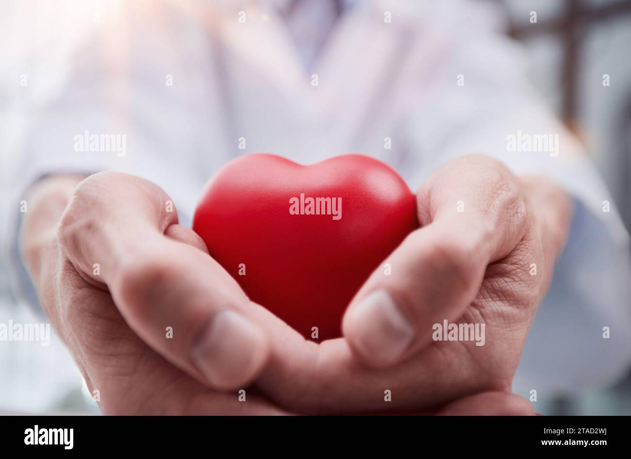 The doctor holds and shows a red heart Stock Photo - Alamy
