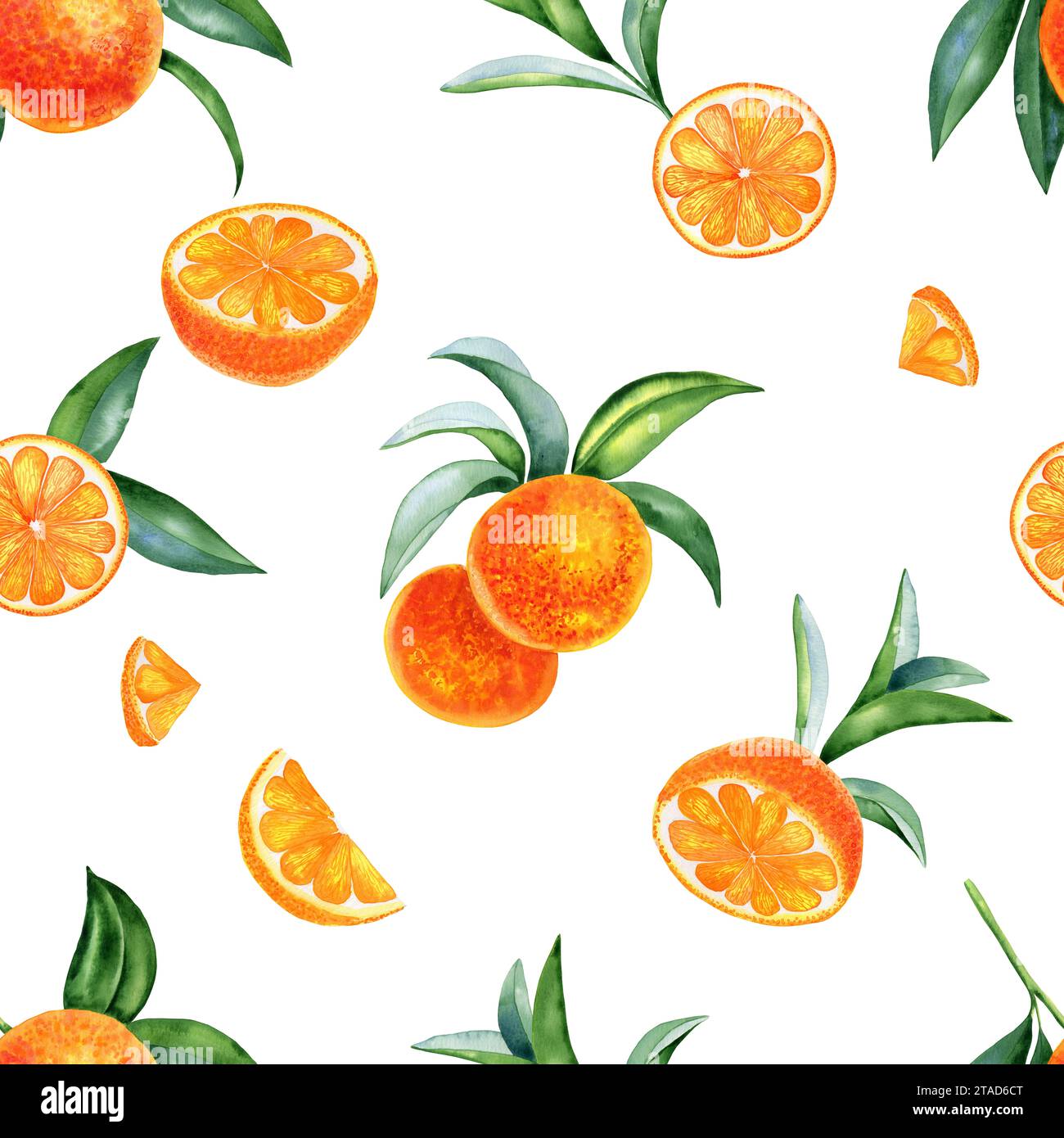 Oranges watercolor seamless pattern. Hand drawn illustration of citrus ...