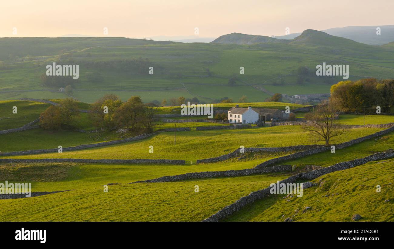 Farmhouse surrounded by countryside in the beautiful Yorkshire Dales National Park, Yorkshire, England.  Autumn (October) 2023. Stock Photo