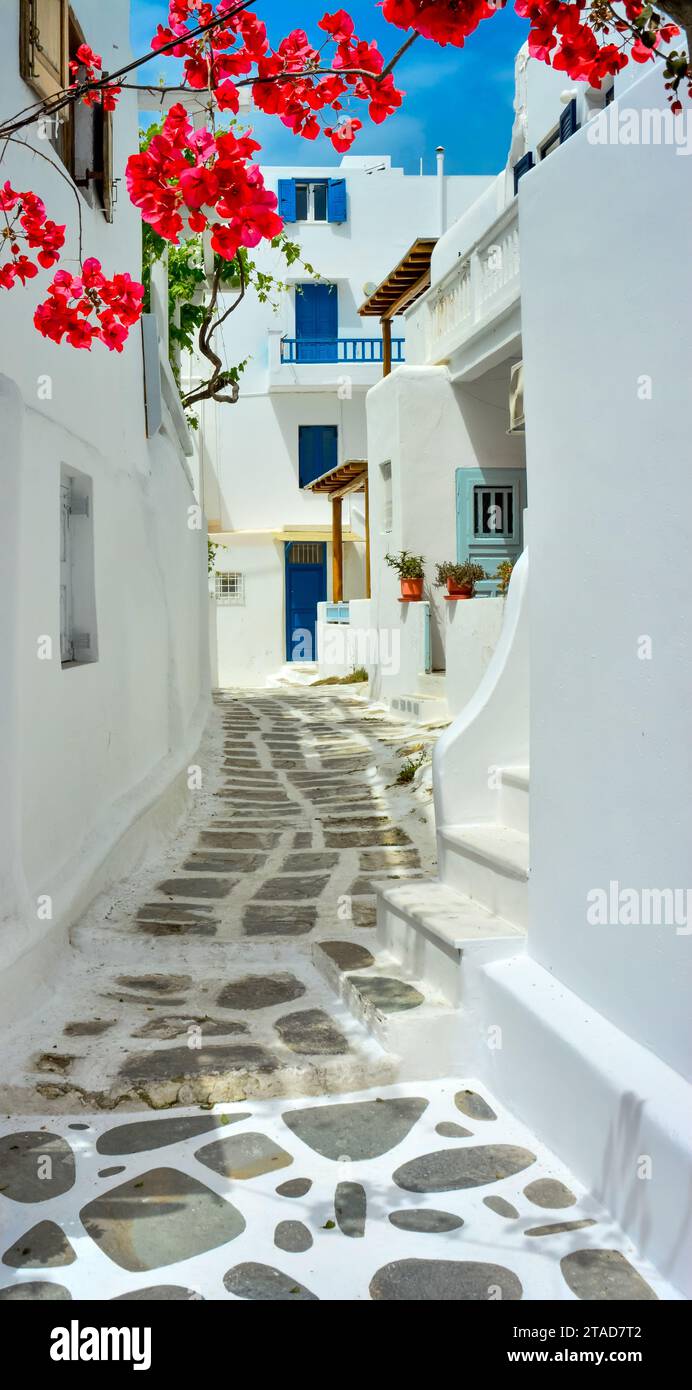 Flowers growing out of walls hi-res stock photography and images - Alamy