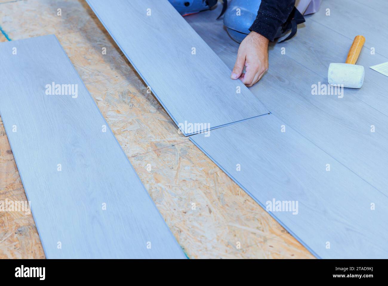 In new residence house worker is installing vinyl laminate flooring Stock Photo