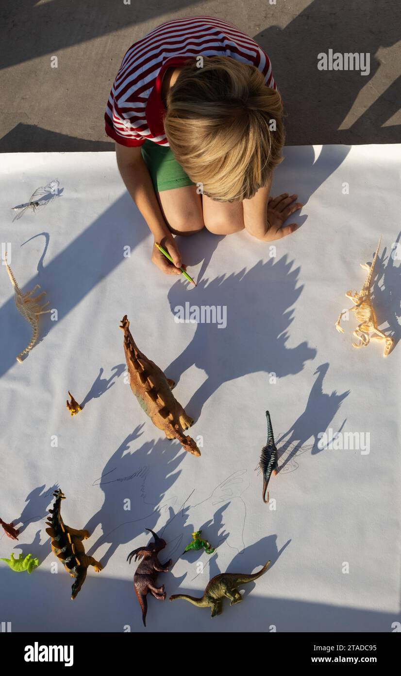child plays with contrasting shadows from toy dinosaur figures, tracing their shadows along contour. little scientist, ideas for developing imaginatio Stock Photo
