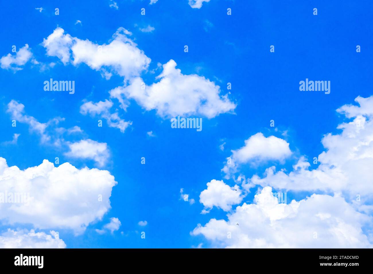 Harmonious presence hi-res stock photography and images - Alamy