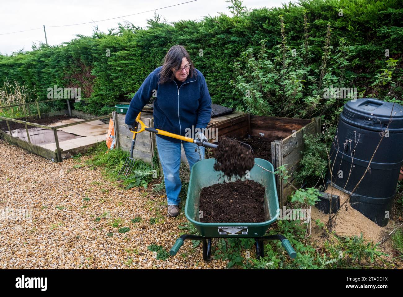 Woman shovelling compost from compost bin into wheelbarrow ready for