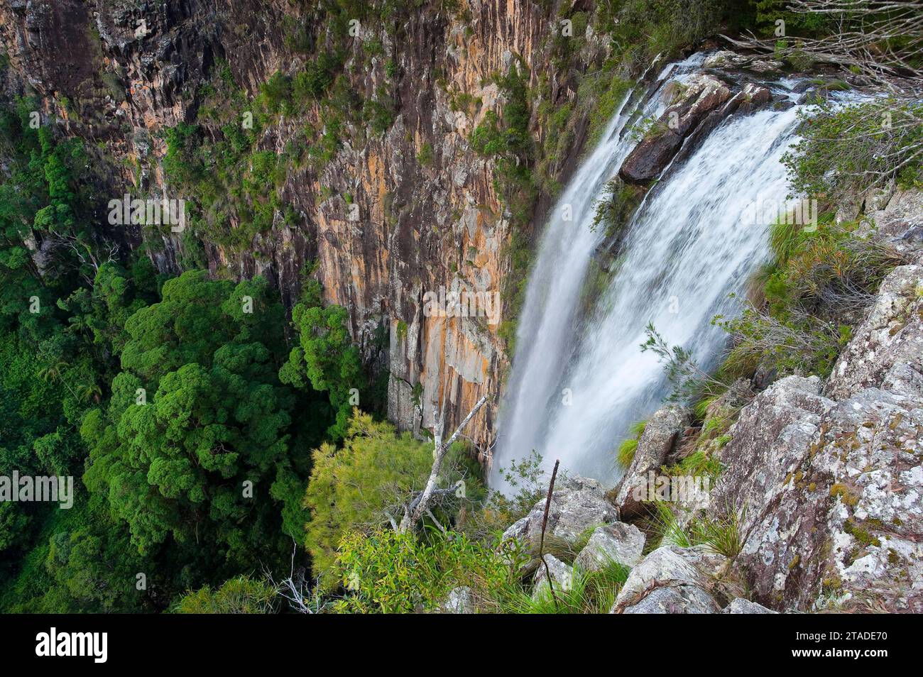 Minyon falls, waterfall in Nightcap National Park on the east coast, Queensland, Australia Stock Photo