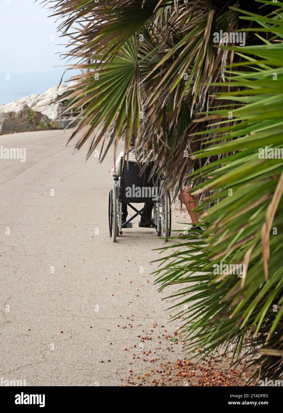 disabled elderly person in wheelchair on promenade along the coast, Riviera di Ponente,  Liguria, Italy Stock Photo