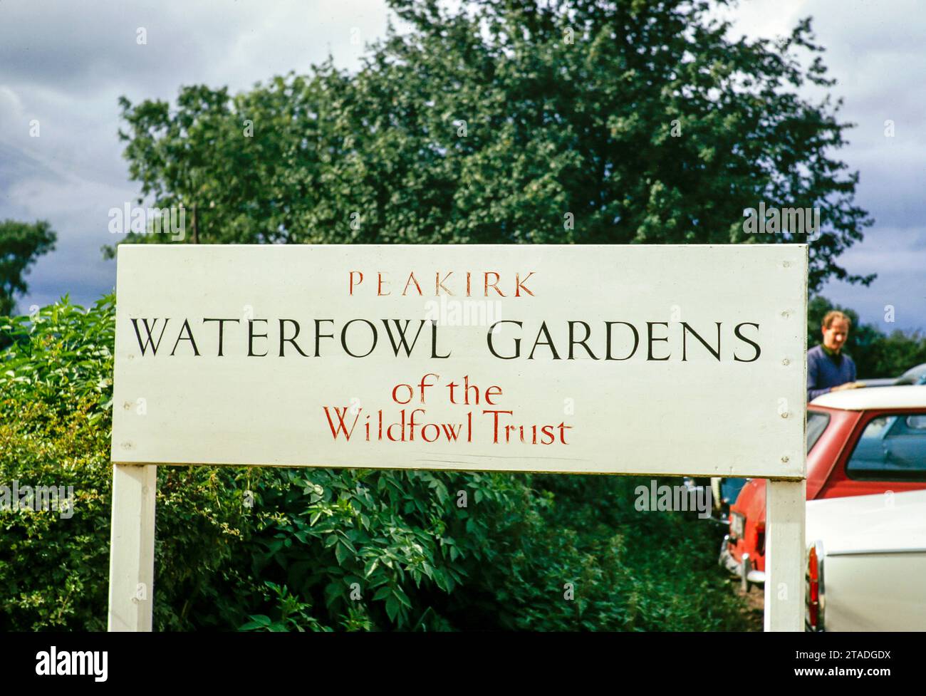 Peakirk Waterfowl Gardens, Wildfowl Trust,  Peakirk, Peterborough, Northamptonshire, England, UK1969 Stock Photo