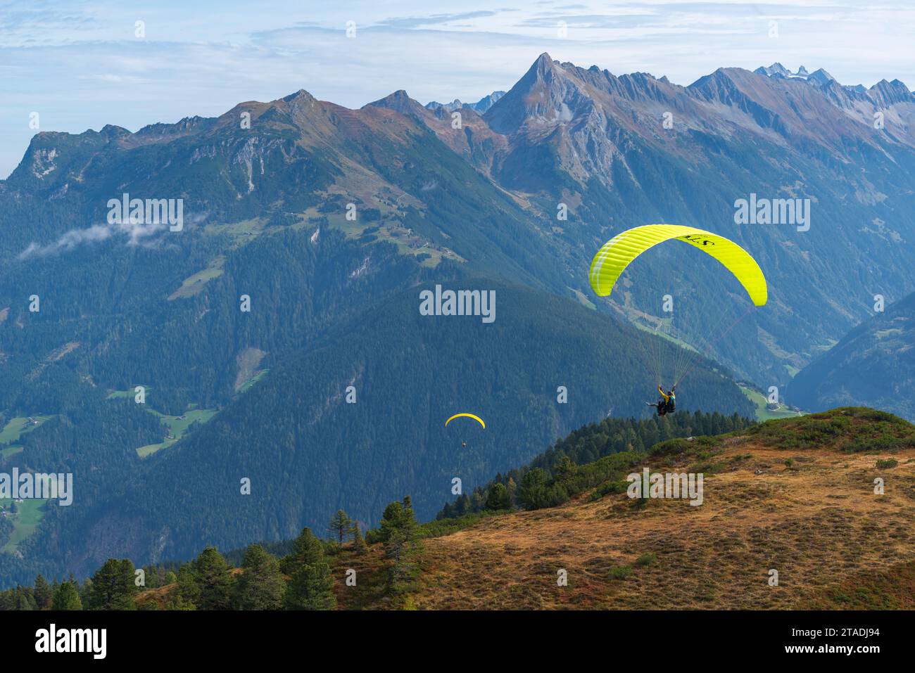 Paragliding flights from Mount Penken (2095m), Tandem-Paragliding Mayrhofen, Zillertal Alps, TYrol, Austria Stock Photo