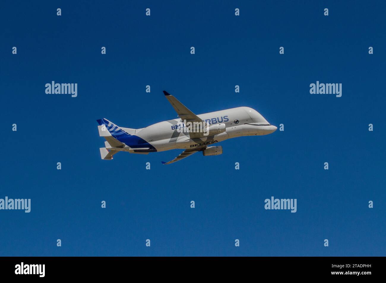 Airbus “Beluga” Stock Photo