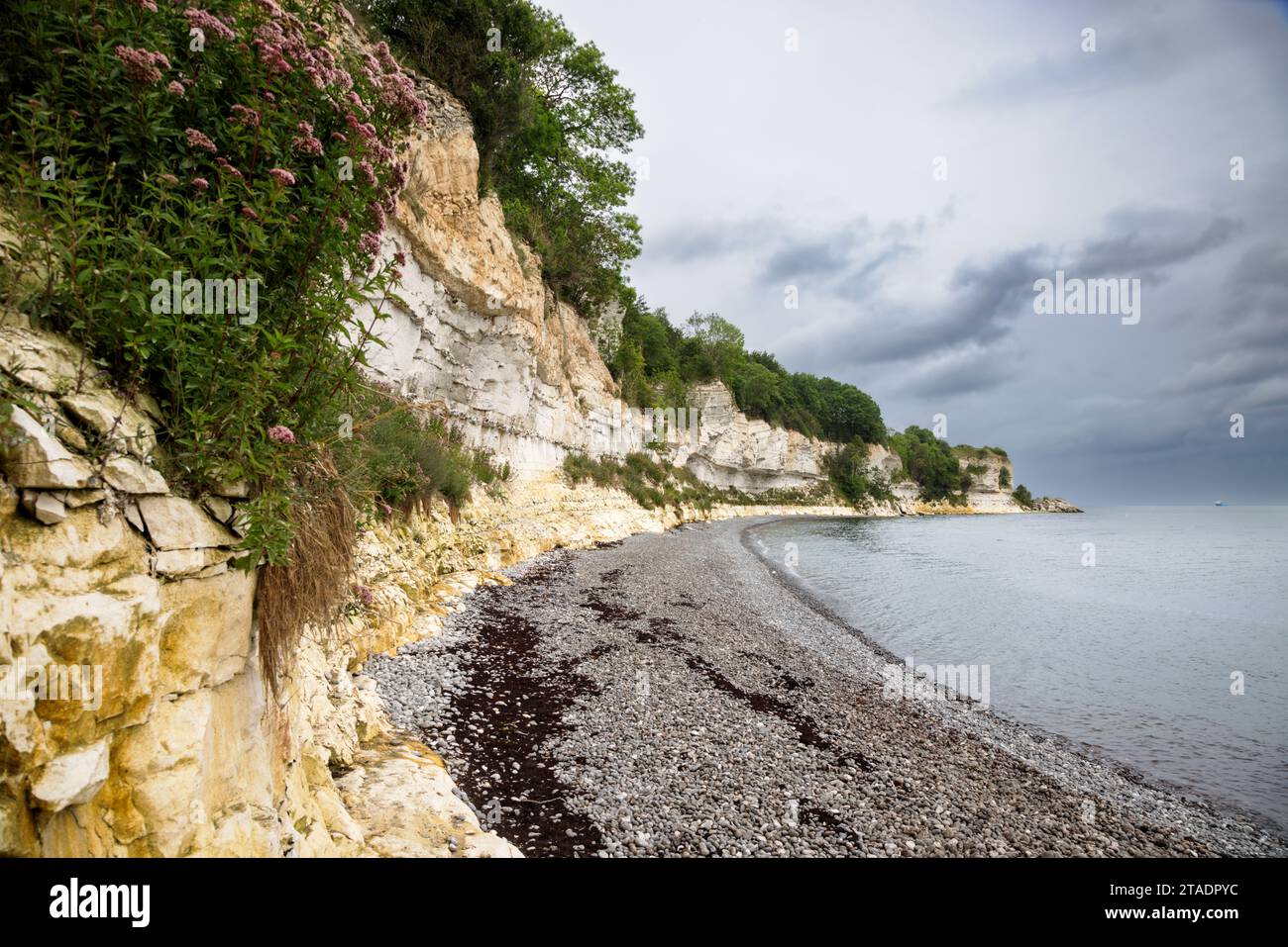Denmark Stevns Klint Hi res Stock Photography And Images Alamy Denmark Stevns Klint Hi res Stock Photography And Images Alamy