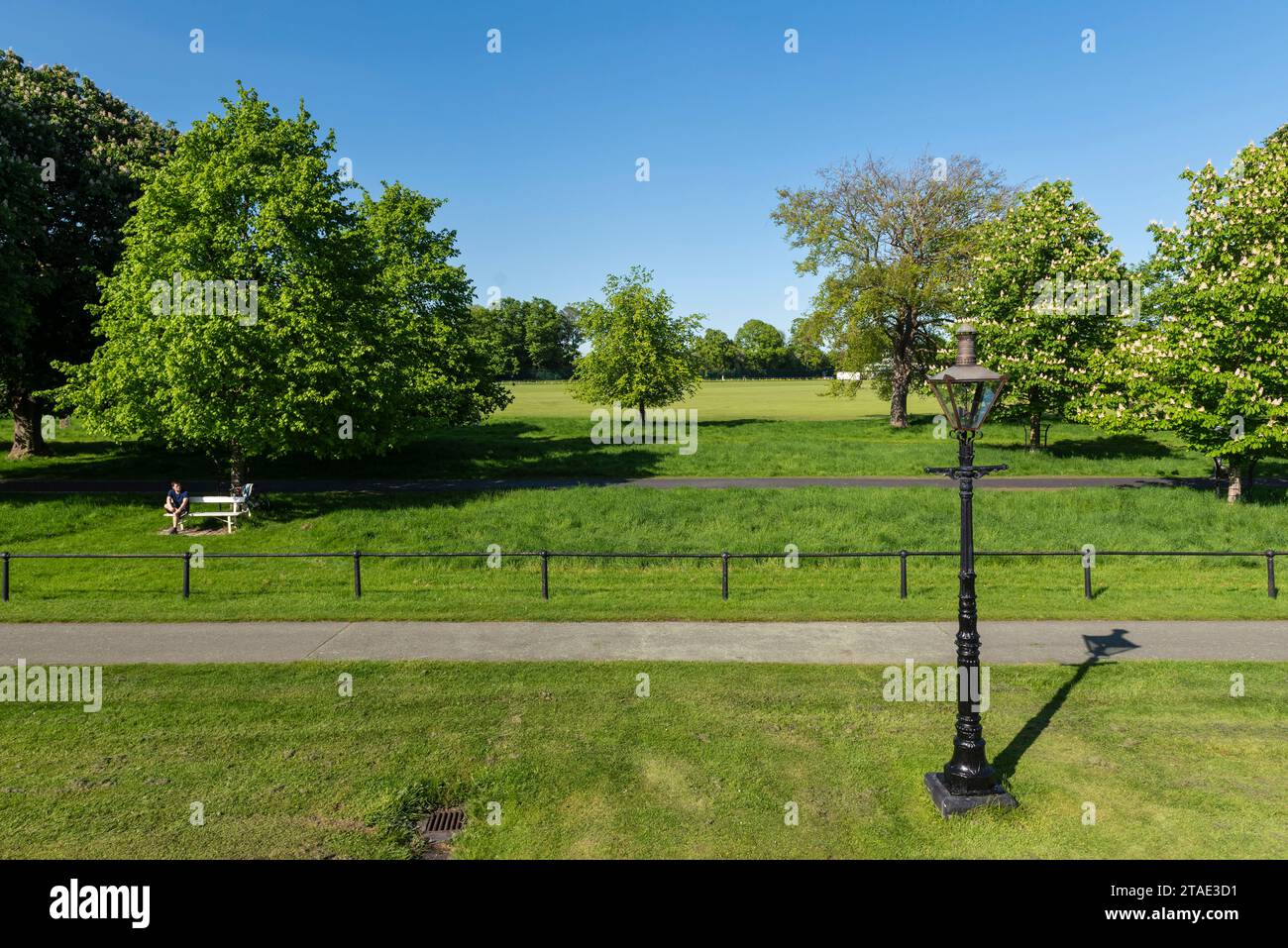 Republic of Ireland, County Dublin, Dublin, Phoenix Park Stock Photo