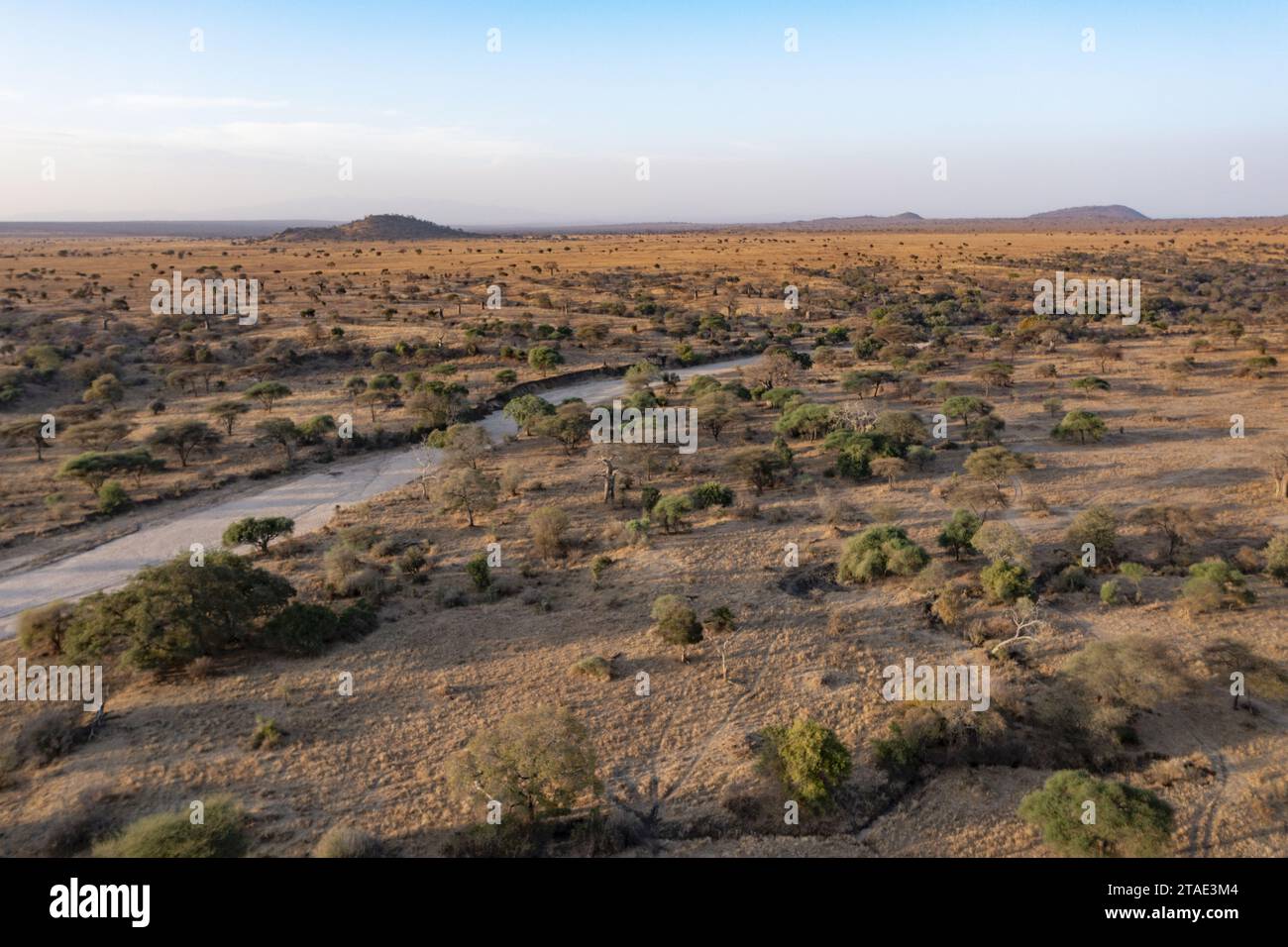 Tanzania, WMA (wildlife management area) of Randilen, Monduli district, Arusha region The dry river that crosses the reserve (WMA) Stock Photo