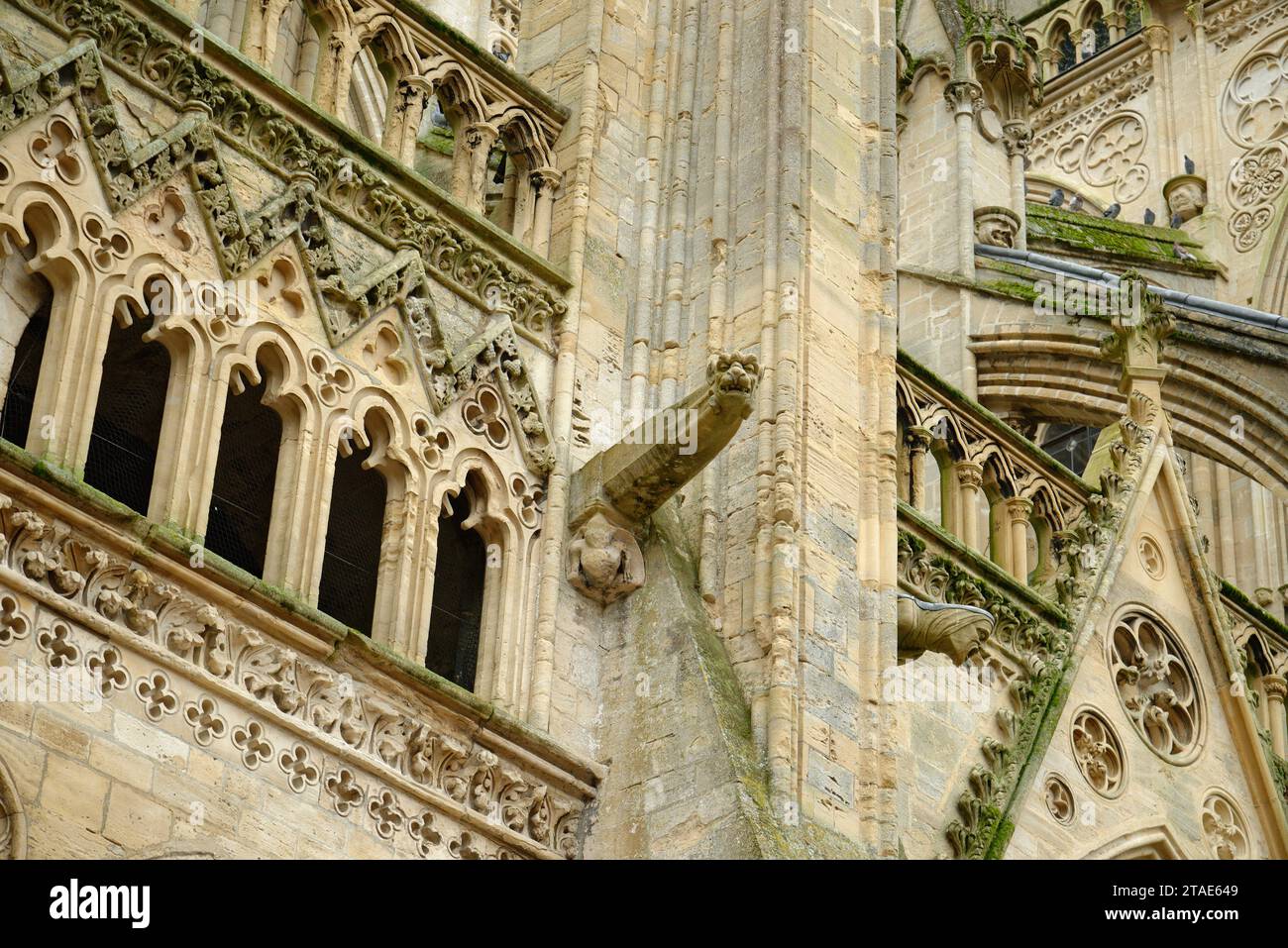 Gargoyles on the outside of Bayeux cathedral in Normandy, France. Stock Photo