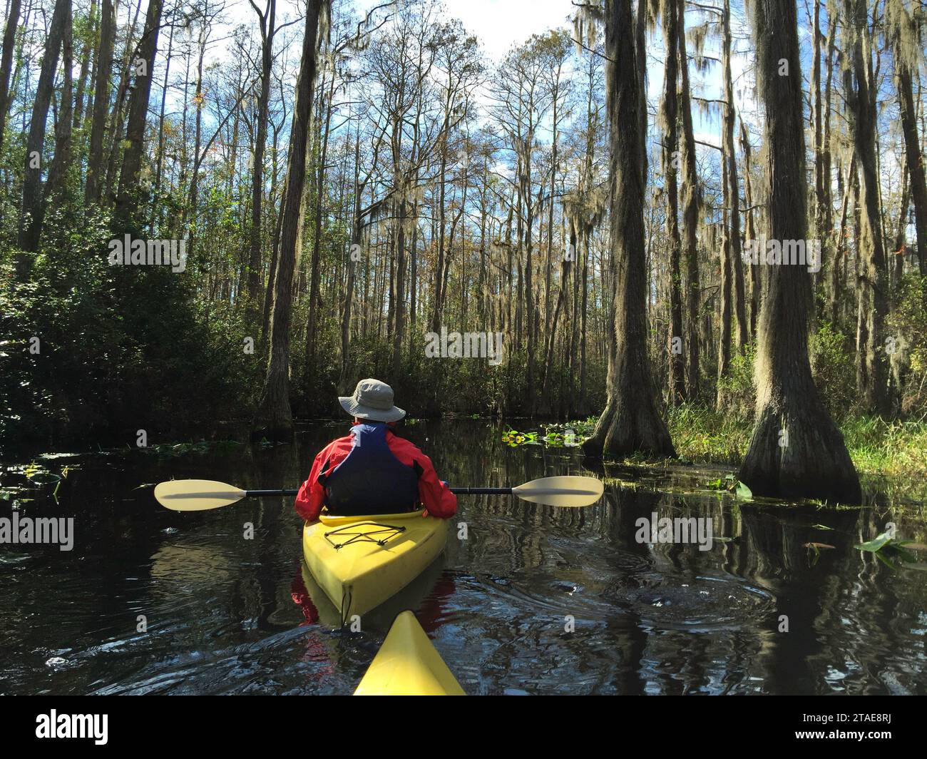 Active seniors kayaking in Okefenokee swamp, North America's largest blackwater swamp habitat and home to diverse wildlife including many alligators. Stock Photo