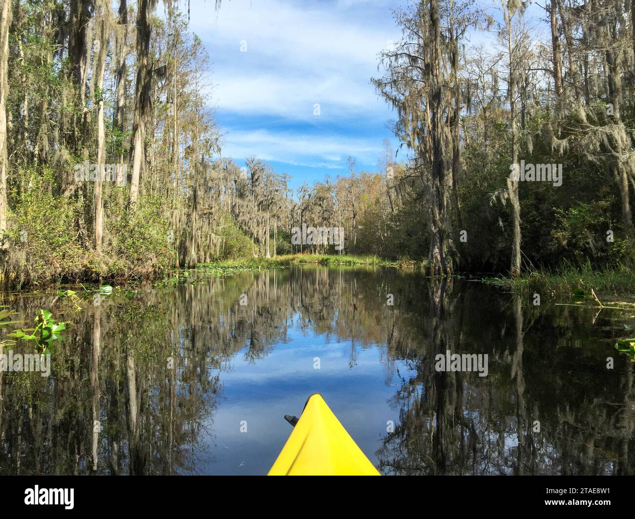 An active senior kayaking in Okefenokee National Wildlife Refuge, North America's largest blackwater swamp habitat and home to diverse wildlife. Stock Photo