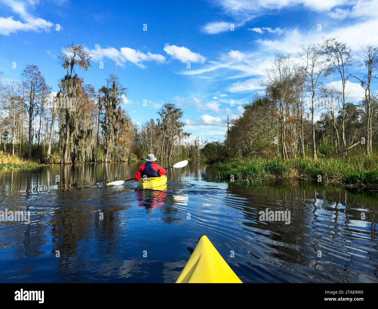 Active seniors kayaking in Okefenokee swamp, North America's largest blackwater swamp habitat and home to diverse wildlife including many alligators. Stock Photo