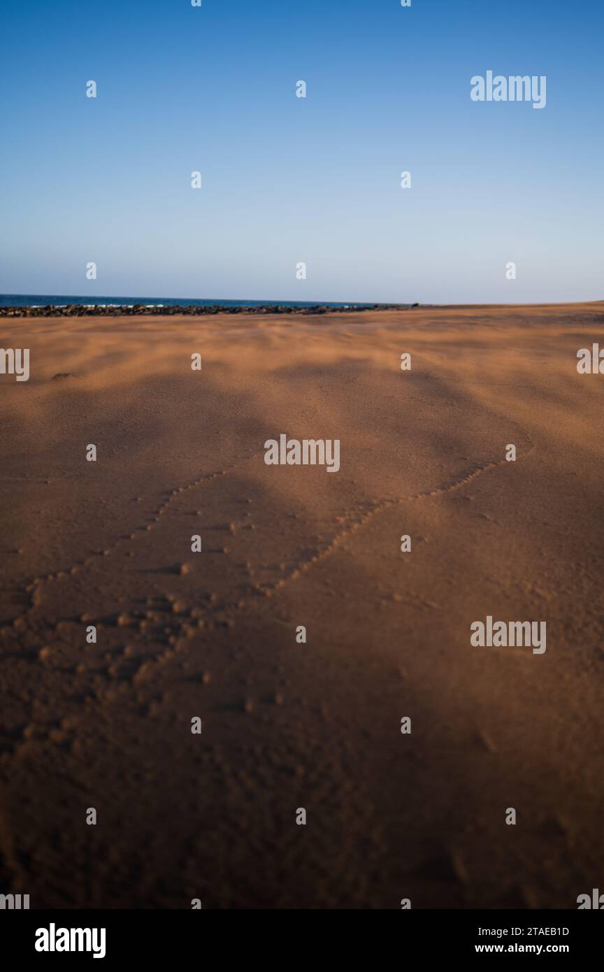 Wind blows sand on a beach in Lanzarote, Canary Islands, Spain Stock Photo