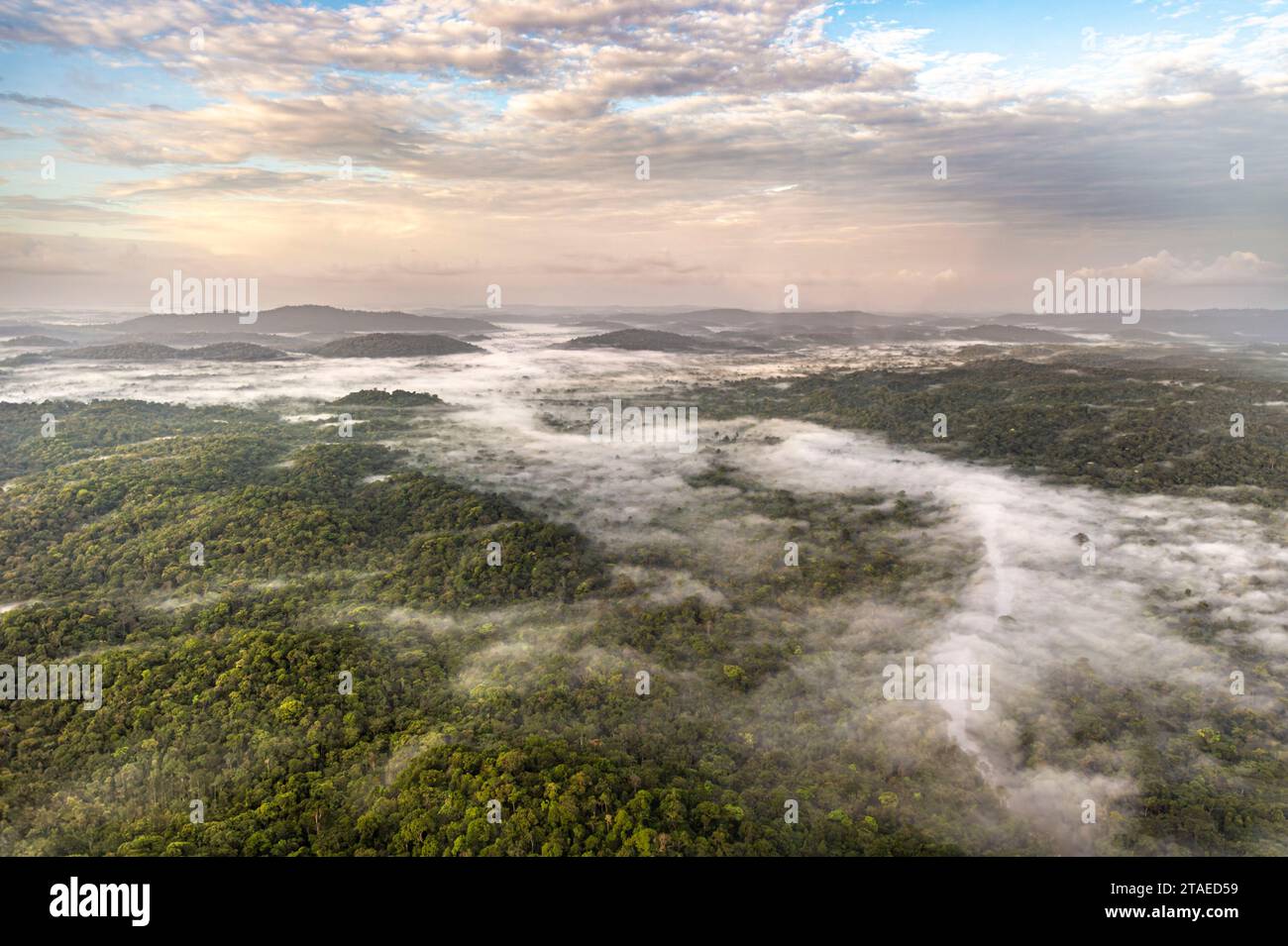France, French Guiana, Saint-Laurent-du-Maroni, Sunrise over the Amazon rainforest in the mist(aerial view) Stock Photo