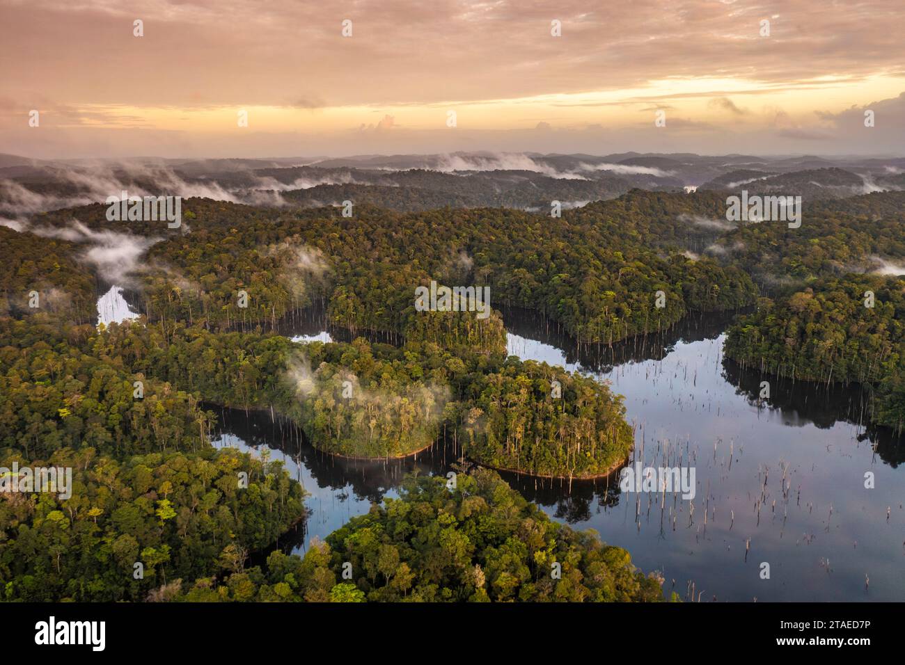 France, French Guiana, Sinnamary, sunrise over the reservoir of the Petit Saut dam(aerial view) Stock Photo
