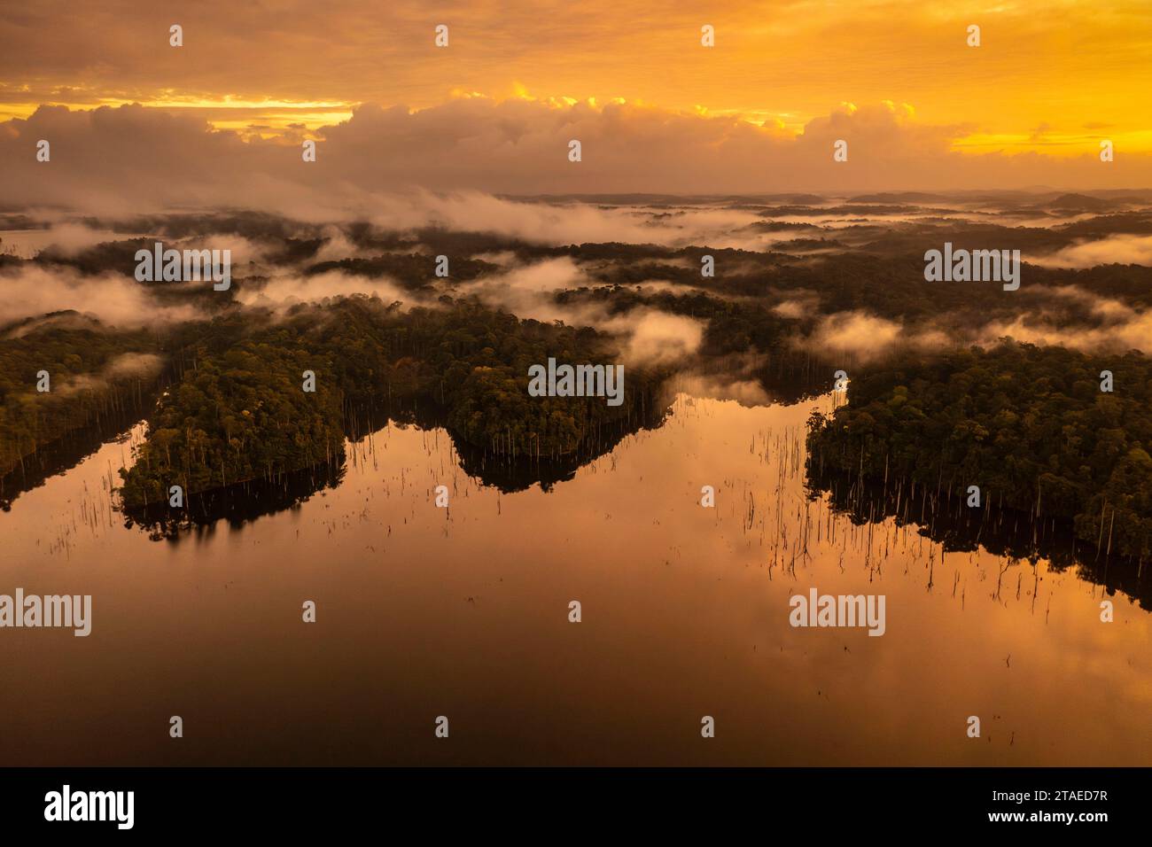 France, French Guiana, Sinnamary, sunrise over the reservoir of the Petit Saut dam(aerial view) Stock Photo