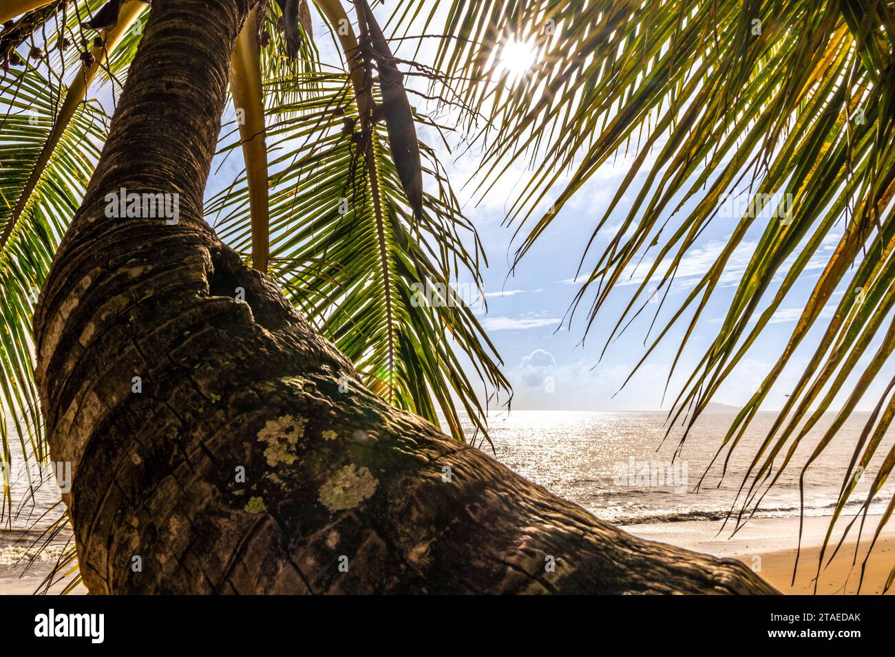 France, French Guiana, Rémire-Montjoly, plage de Gosselin Stock Photo