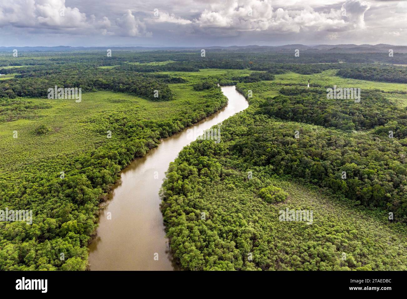 France, French Guiana, aerial view of the Amazon rainforest and the Montsinéry river (aerial