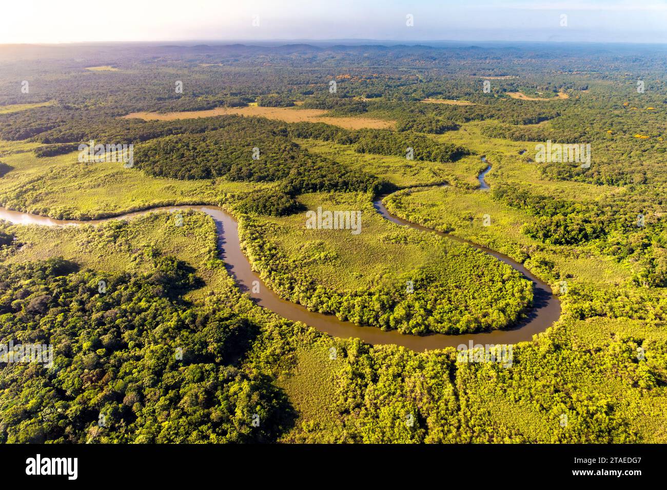 Amazon rainforest aerial hi-res stock photography and images - Alamy