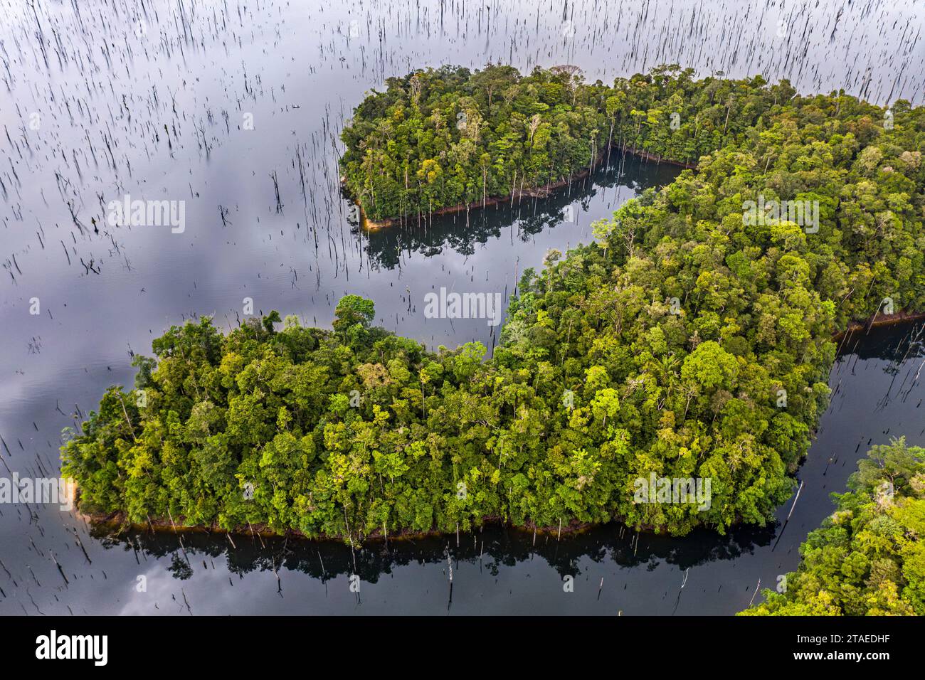 France, Guiana, Sinnamary, Navigation on the Petit Saut lake(aerial view) Stock Photo