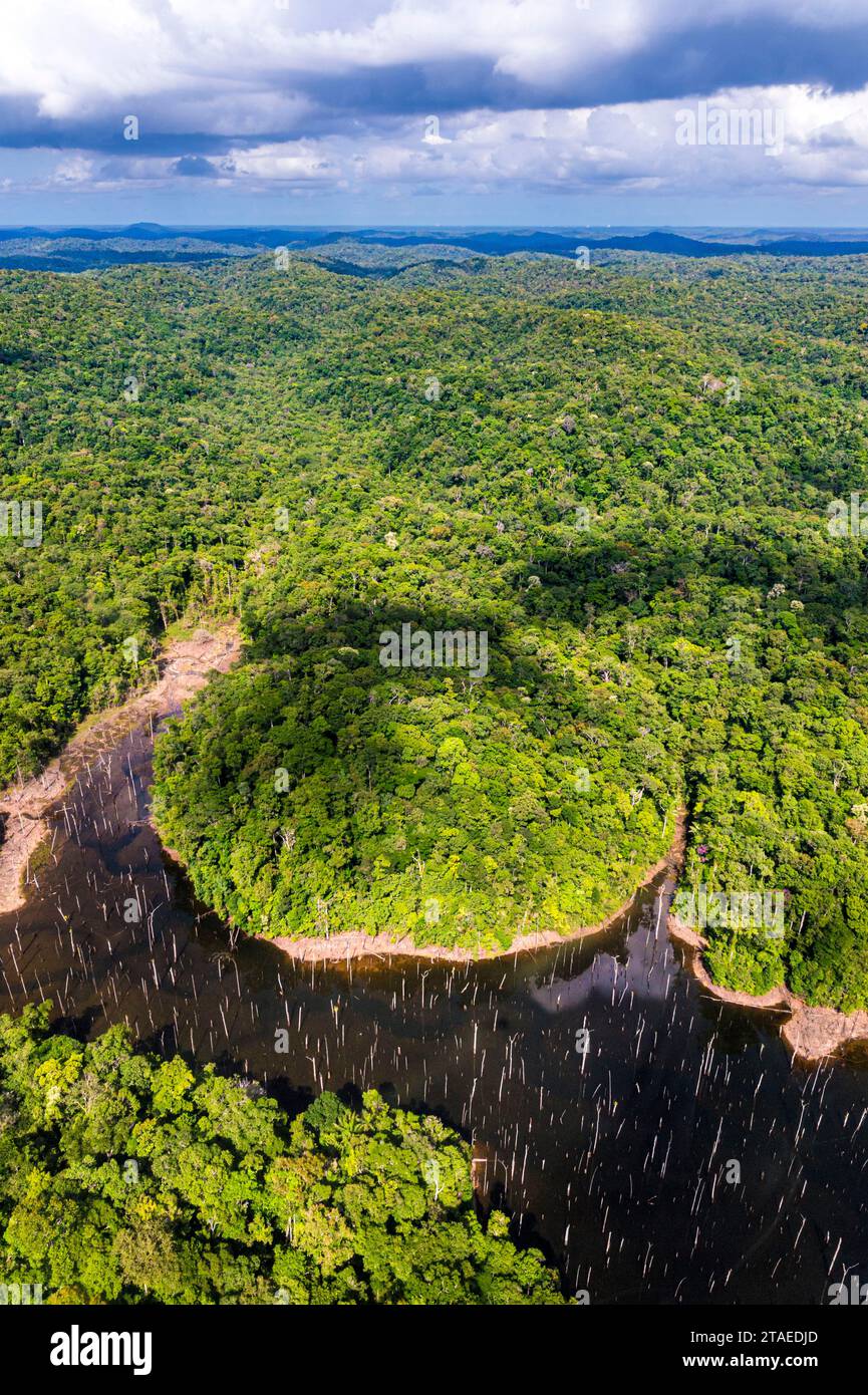 France, French Guiana, Sinnamary, Petit Saut lake(aerial view) Stock Photo