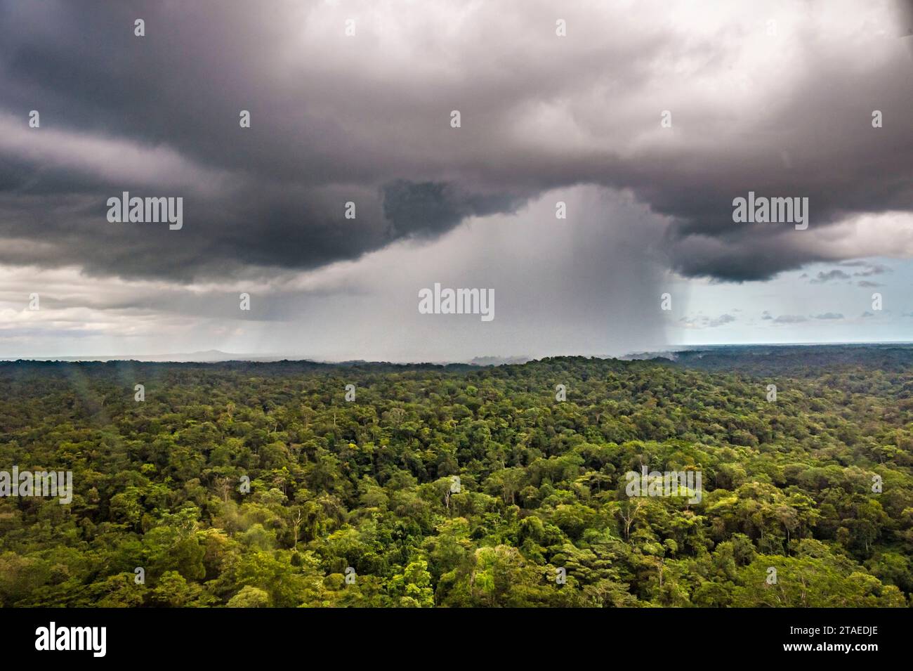 France, French Guiana, Apatou, Aerial view of the Amazon rainforest in a powerful tropical downpour (aerial view) Stock Photo