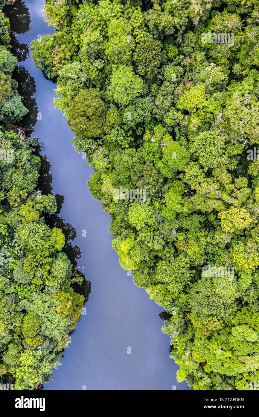 France, French Guiana, Rémire-Montjoly, Rorota path, Rorota lake(aerial view) Stock Photo