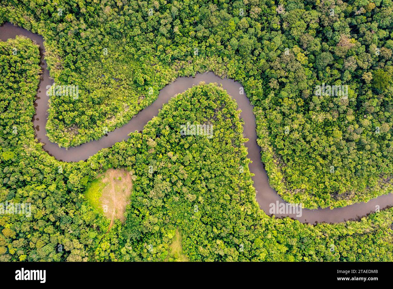 France, Guiana, Sinnamary, aerial view of a wetland (aerial view) Stock Photo