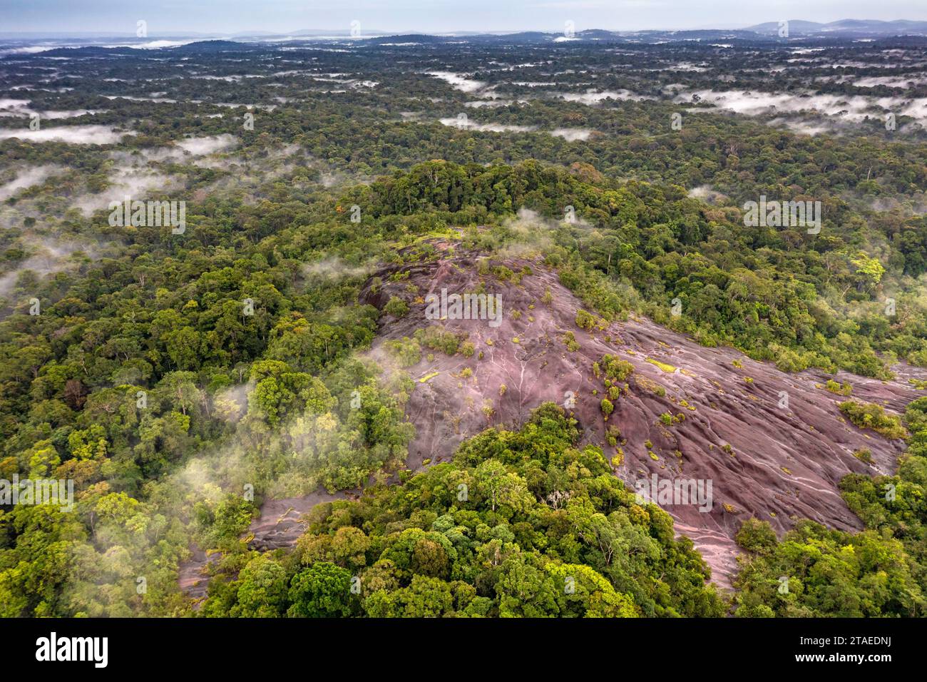 France, French Guiana, Saint-Georges, hike in the Régina national forest to the Savane-roche Virginie inselberg, the only one accessible from the coast, aerial view of the inselberg (aerial view) Stock Photo