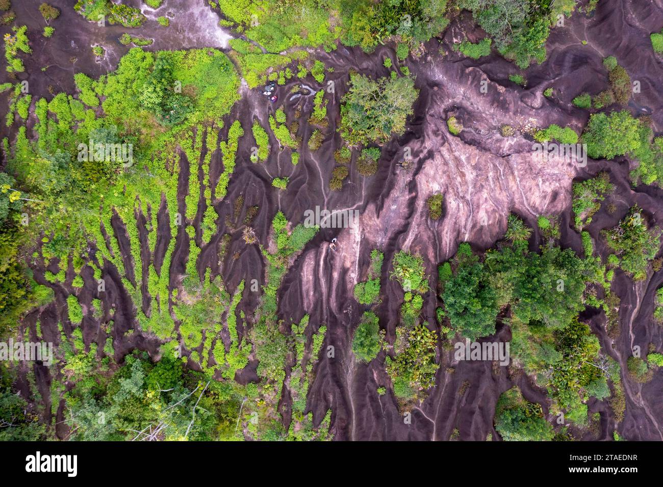 France, French Guiana, Saint-Georges, hike in the Régina national forest to the Savane-roche Virginie inselberg, the only one accessible from the coast, aerial view of the inselberg (aerial view) Stock Photo