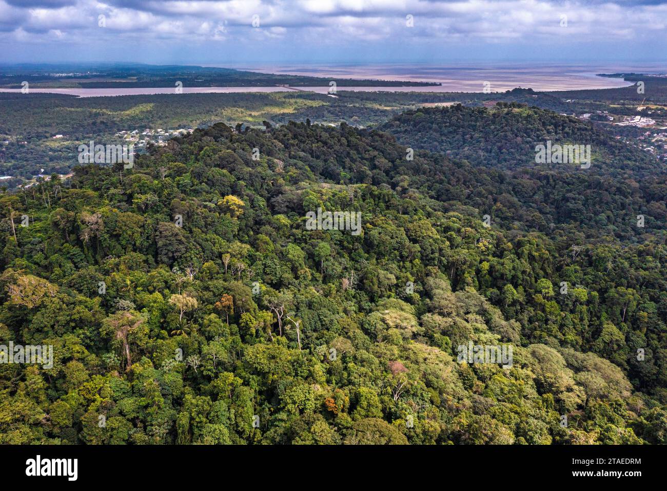 France, French Guiana, Matoury, Mont Grand Matoury Nature Reserve, hike on the Lamirande trail loop, aerial view of the Amazon canopy, the Mahury river and the Atlantic Ocean in the background (aerial view) Stock Photo