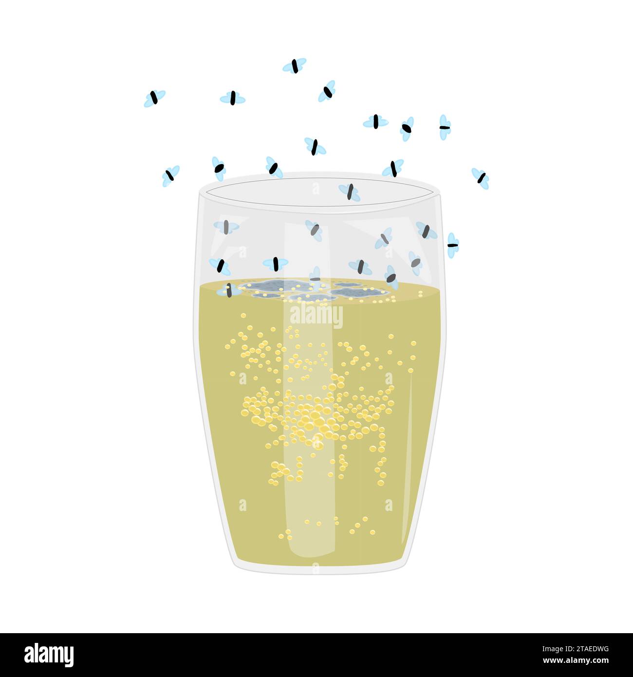 Fruit flies and juice glass. Drosophila melanogaster. Flies flying above glass with beverage. Insect swarming around drink. Kitchen leftovers and pest Stock Vector