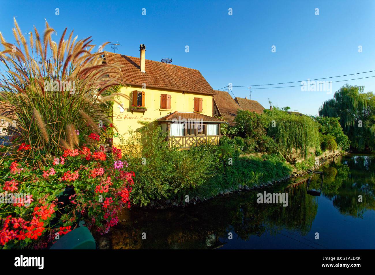 France, Bas Rhin, the Ried, Muttersholtz, French capital of ...