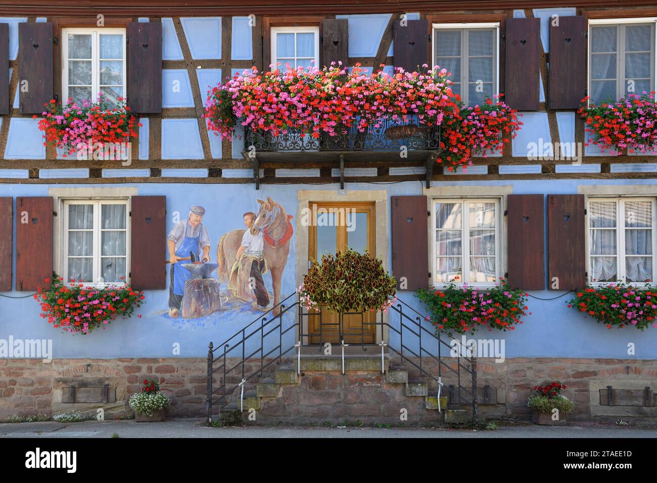 France, Bas Rhin, the Ried, Muttersholtz, French capital of ...