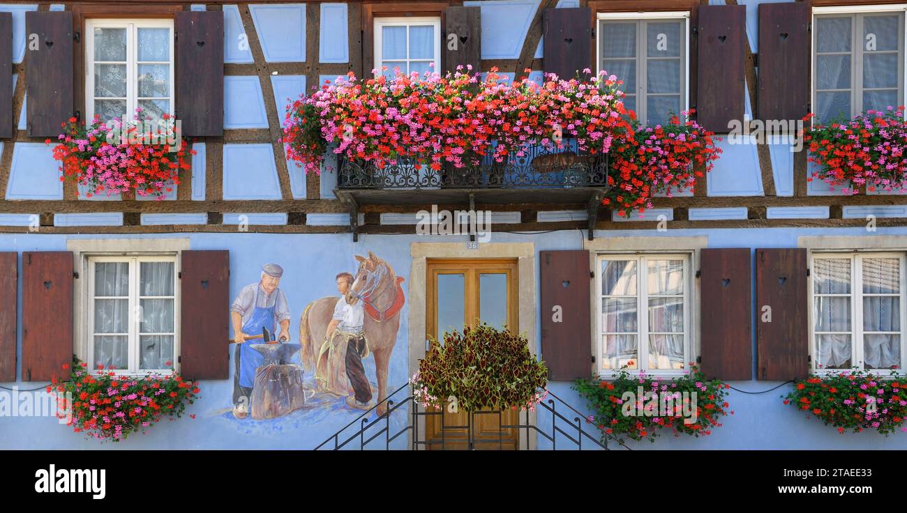 France, Bas Rhin, the Ried, Muttersholtz, French capital of ...