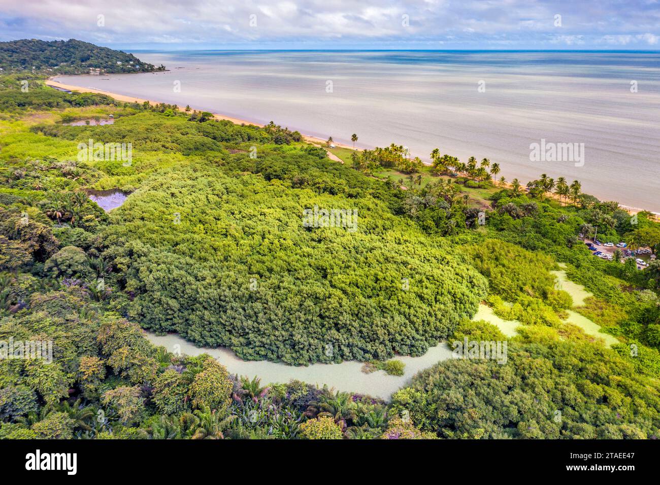 France, French Guiana, Rémire-Montjoly, Salines and Montjoly beach and footpath(aerial view) Stock Photo