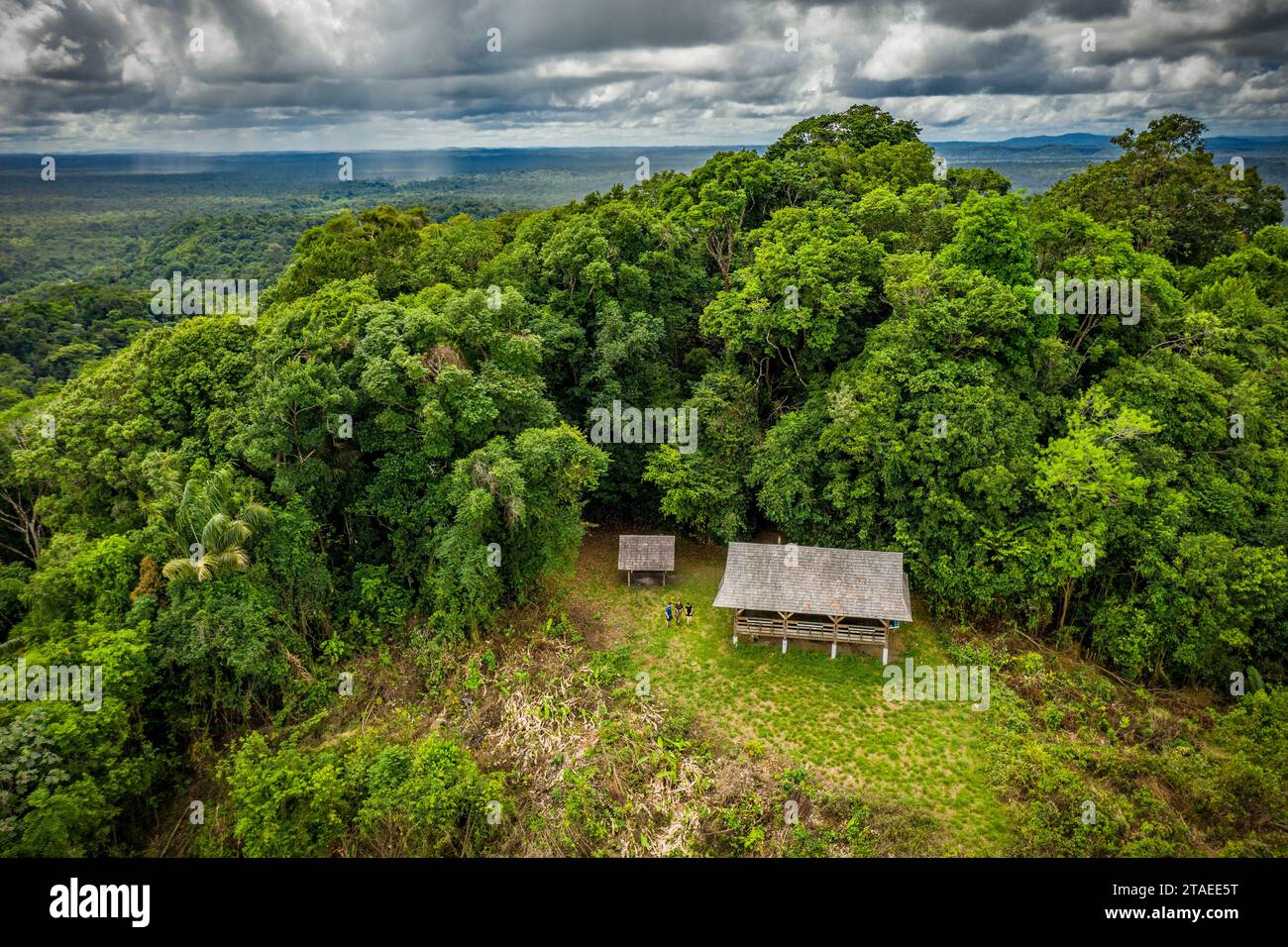 France, French Guiana, Kourou, Montagne des Singes hike(aerial view) Stock Photo