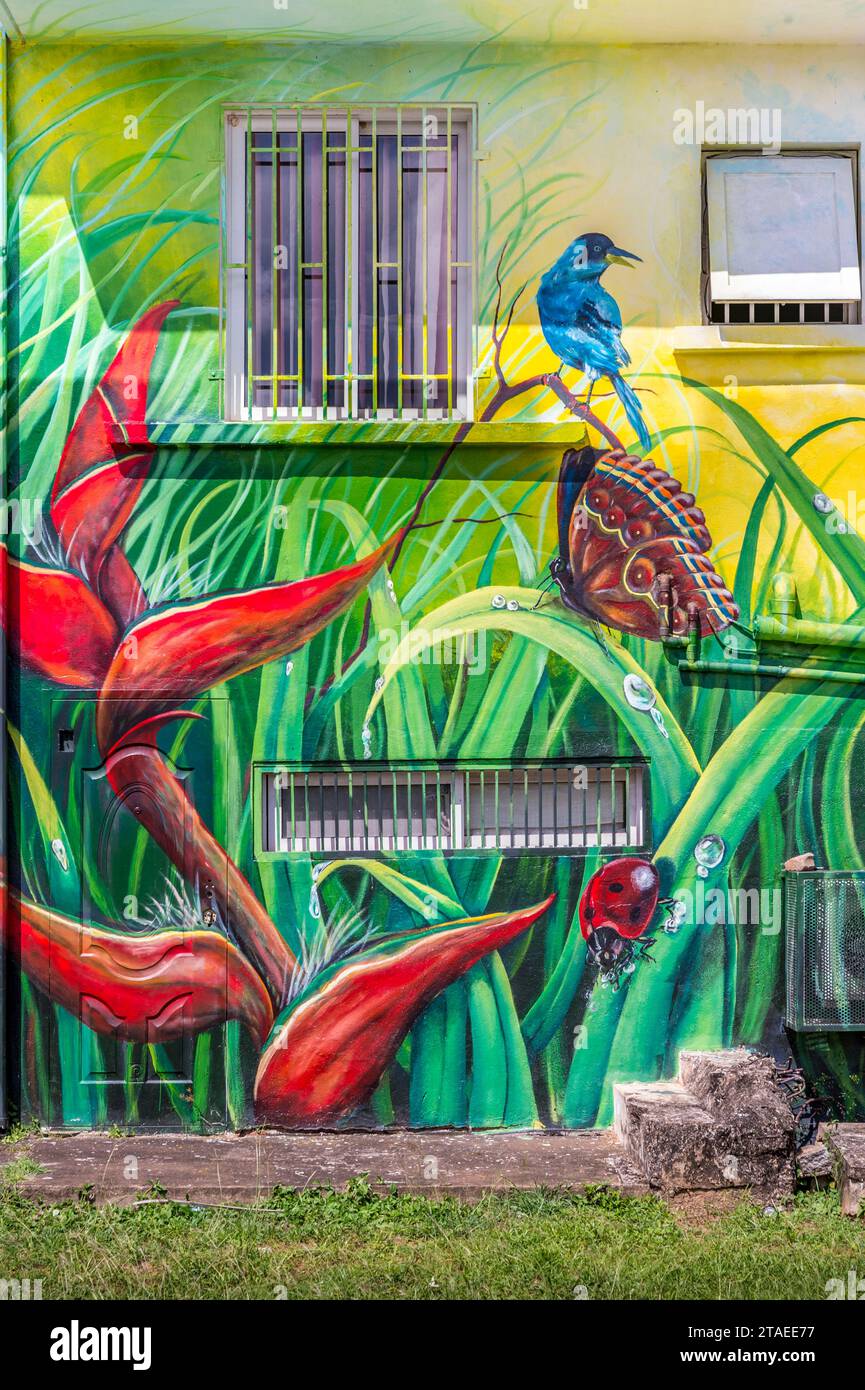 France, French Guiana, Cayenne, naturalist mural, on the building of the Department of Cultural Affairs and Cooperation Stock Photo