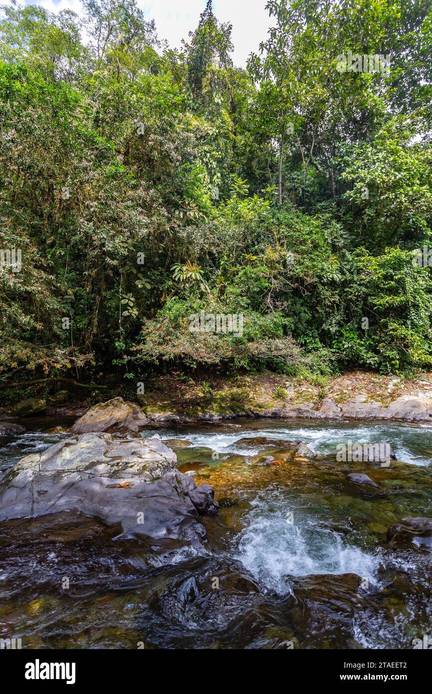 Lot rocks in river hi-res stock photography and images - Alamy