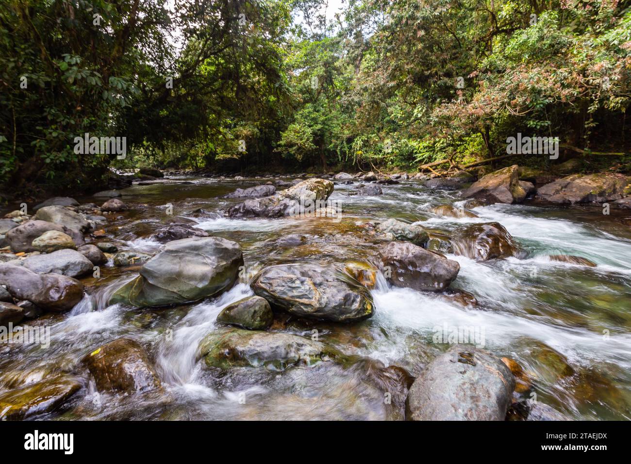 River lot rocks trees hi-res stock photography and images - Alamy