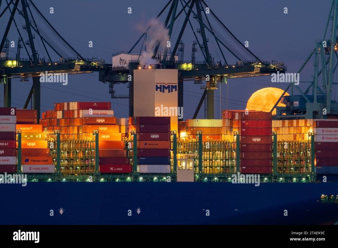 Gantry cranes and stacked containers on container ship docked at container terminal in the port of Antwerp seaport / harbour, Flanders, Belgium Stock Photo