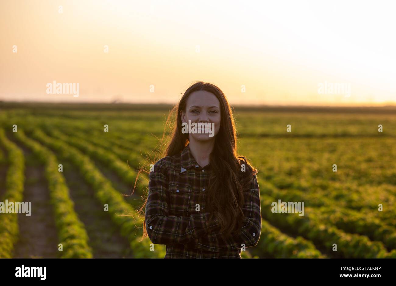Portrait of young woman farmer with crossed arms standing in soybean ...