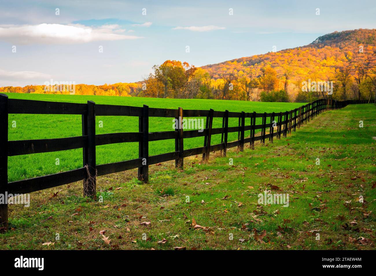 Proof that the grass is greener on the other side of the fence. Sunlit Sugarloaf Mountain is in the background. Stock Photo