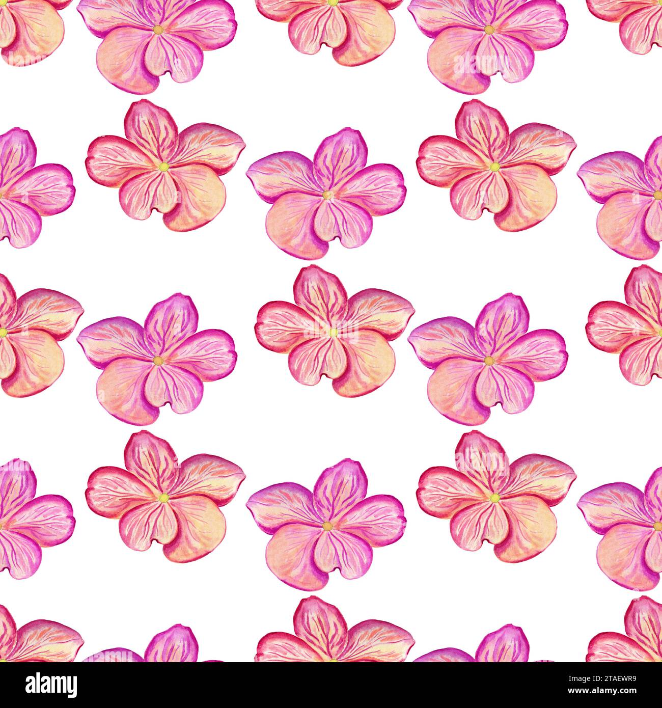 Hydrangea flowers watercolor seamless pattern. Hand drawn bouquet in ...