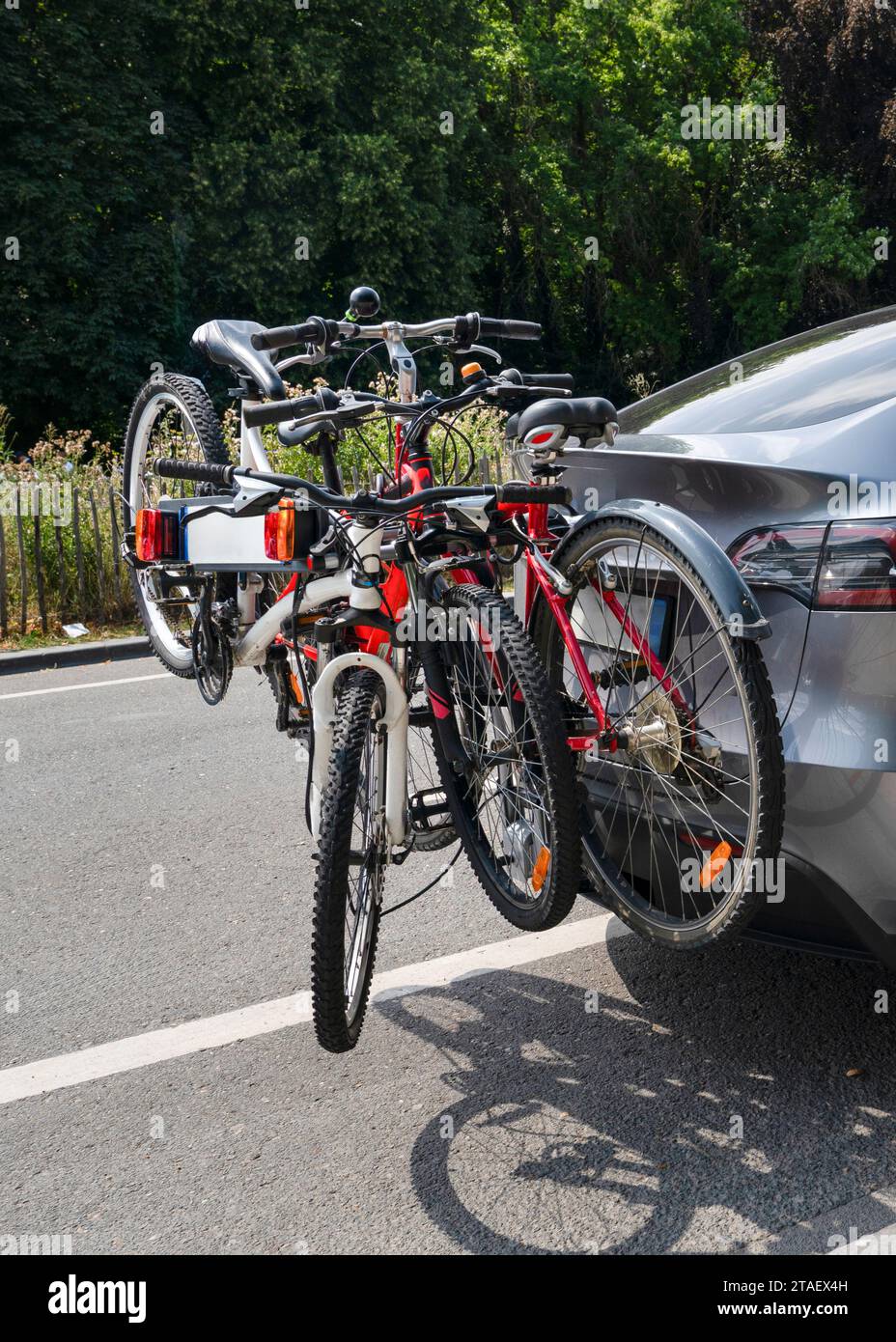 Car back sales side cycle stand